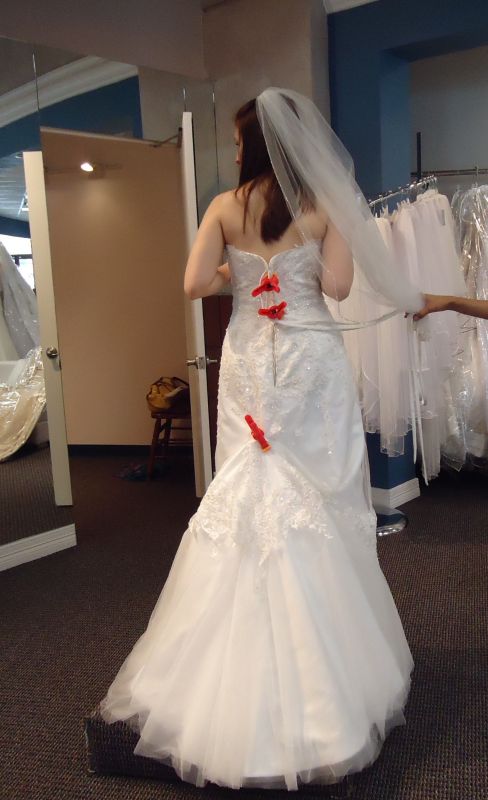 I DID IT!!!  I ordered my dress! :  wedding DSC00145