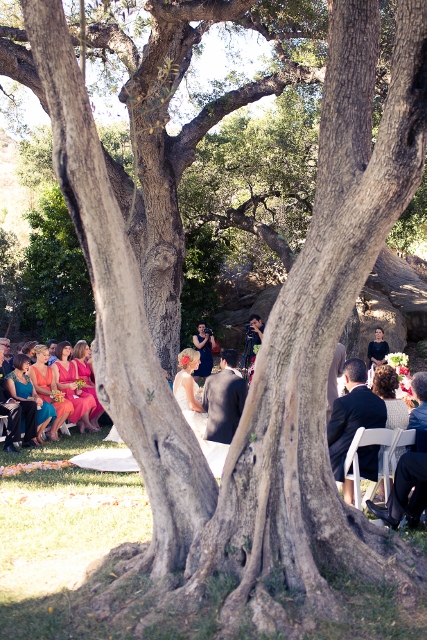 Bees- Convince me to have an outdoor wedding! Show your pictures! :  wedding ceremony reception outdoor photos italian money ES424 427x640