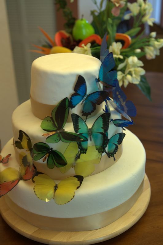 Cake Inspiration vs. execution :  wedding cake inspiration DSC 4448
