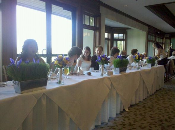 How to Grow a Wheatgrass Centerpiece :  wedding wheatgrass wheatgrass centerpiece grow a wheatgrass centerpiece diy centerpiece Wheatgrass Centerpiece Iris Finished