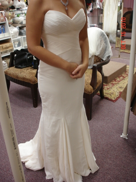 My Dress Is Here! :  wedding 1