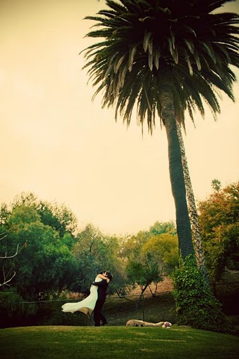 Recommended reviews: Show off your wedding on the blog! : wedding vendor reviews photographer videographer Lodge Lawn