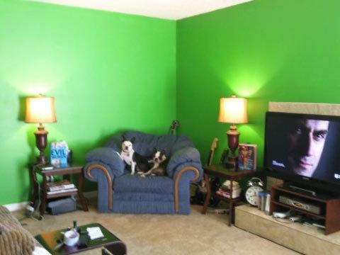 Show me your living room! :  wedding Green1