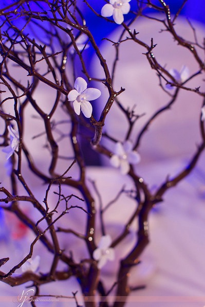 Manzanita branches centerpieces with pearl Stephonatis :  wedding white centerpieces pearl stephonatis blocks of styrofoam spray paint manzanita Picture 4