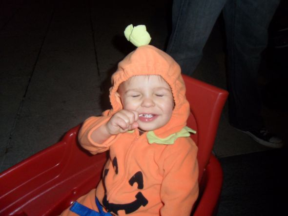 Halloween Babies :  wedding 160