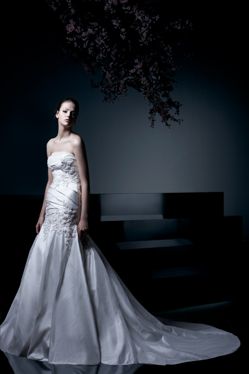 Please help!  I can't decide between two dresses! :  wedding bridal gowns Enzoani Cecilia