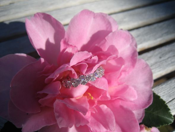 Let's see those rings :  wedding IMG 2259