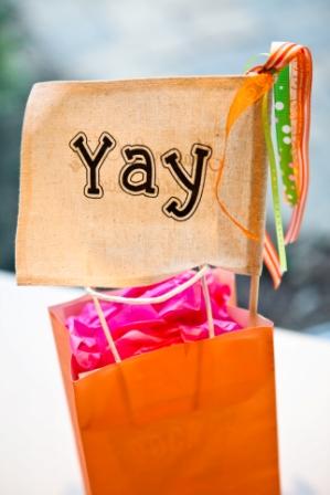 What color pallette goes best with fuschia? :  wedding colors spring wedding Yay In A Bag