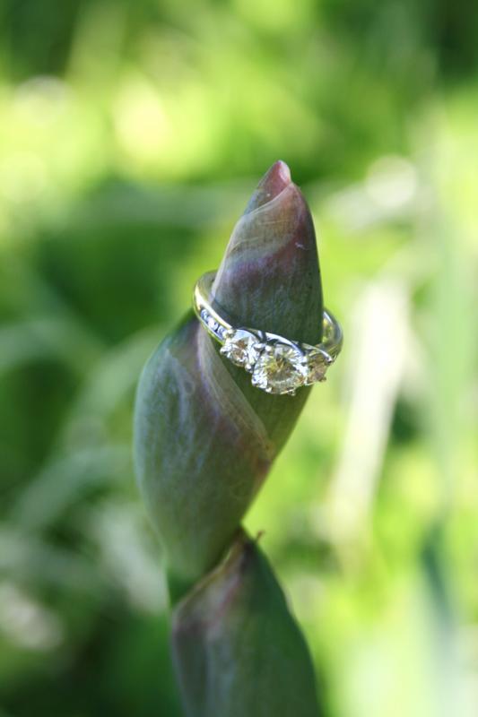 3 Stone Rings, Anyone? :  wedding engagement ring 3 stones IMG 3657
