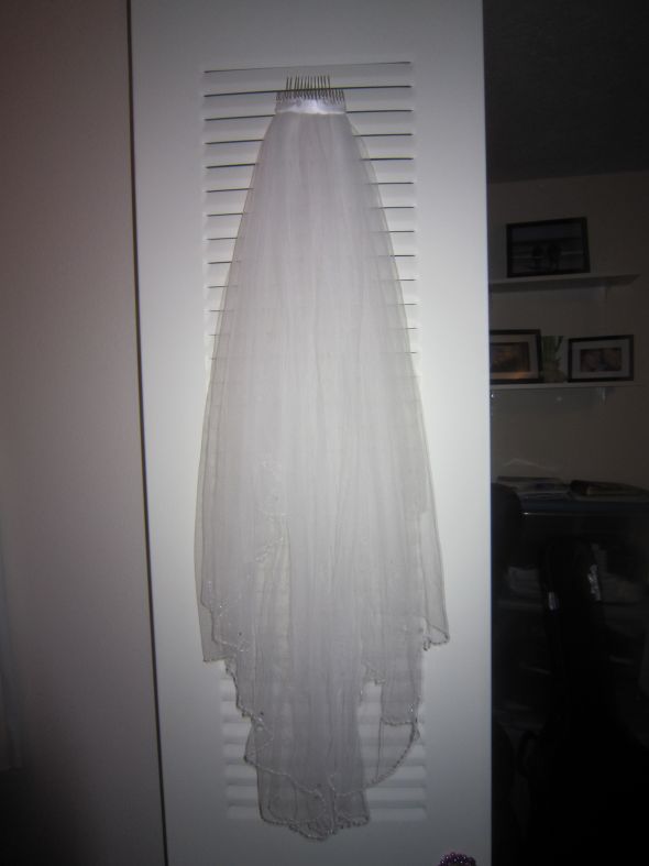 Beaded Elbow Length Veil - Never Worn : wedding veil IMG 0183