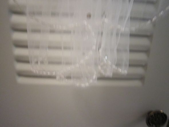 Beaded Elbow Length Veil - Never Worn : wedding veil IMG 0185