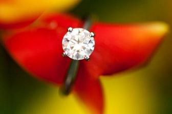 Pro ring photos... Let me see them! :  wedding 30493 101001629e39130595 12400566 55622946 2244474 N