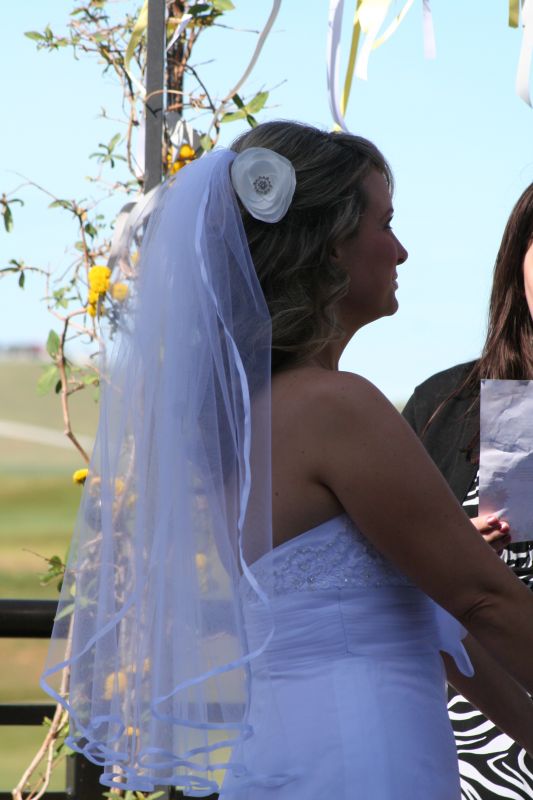 I'm married!  Wanna see?! Pic heavy! :  wedding yellow gray diy recaps 2011 04 17 April 2011 037