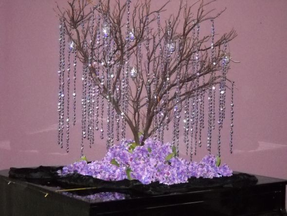 Charlottes colors are Purple and Black This white tree is away from any of
