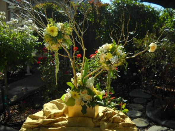 Flower poms on manzanita centerpiece Posted 9 months ago by gotitang in