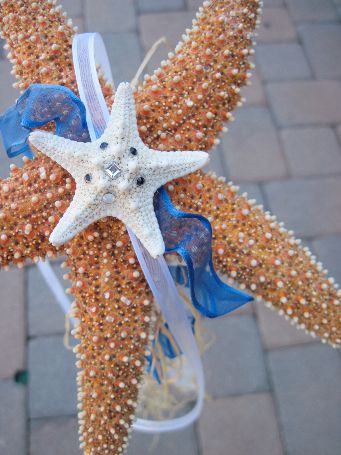 anyone else doing a beach wedding?? :  wedding STARFISH RING BEARER BLUE
