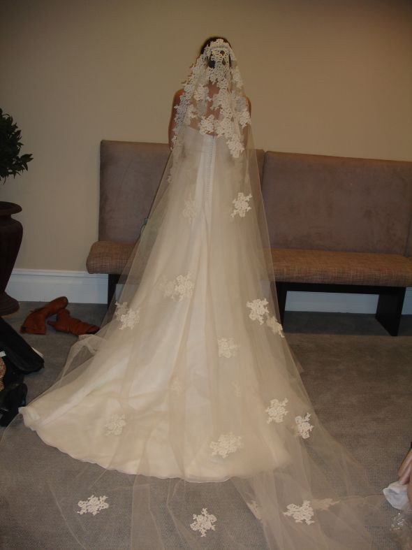 Final Dress Fitting! Photos! : wedding DSC06262
