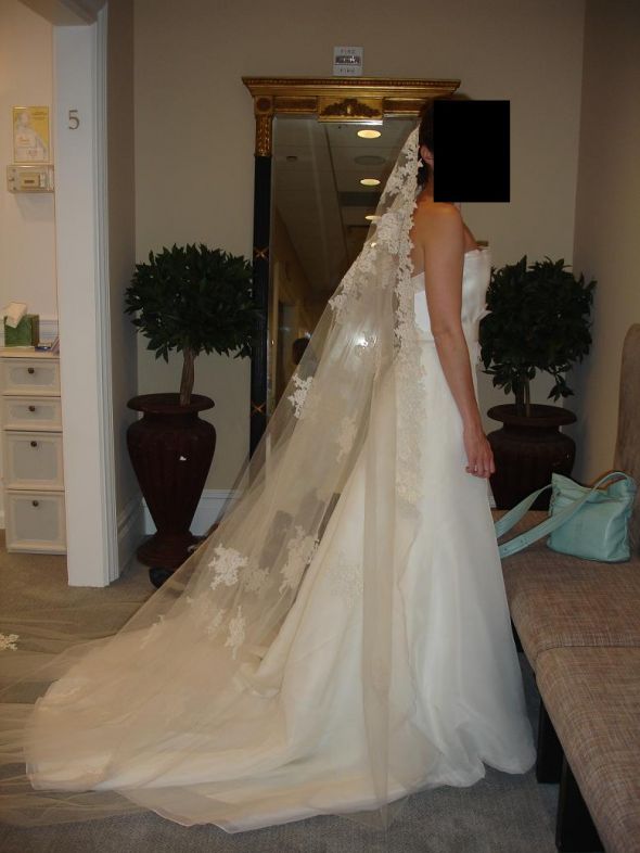 Final Dress Fitting! Photos! :  wedding DSC06267 1