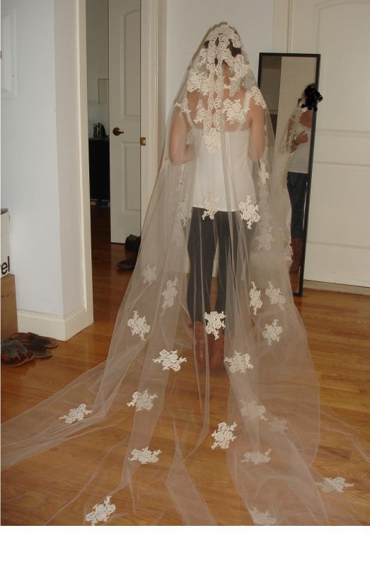 Aisle Runner Argument. Help! :  wedding Veil