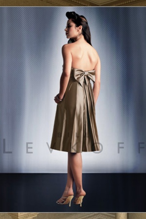 Help me pick my shoes! : wedding shoes Bridesmaid Dress Back View