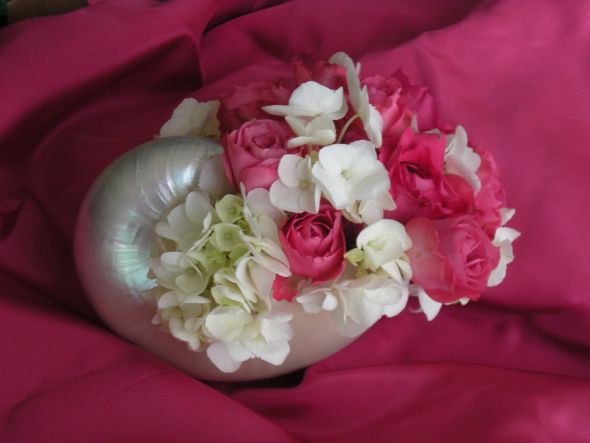 I lilke these it photo 2423347-3