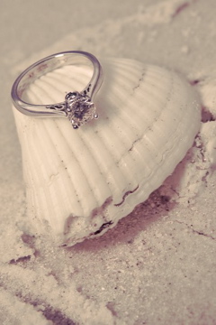 RING PORN! : wedding Ring Shell4