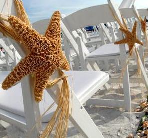 what will/did your aisle look like :  wedding aisle decor S.chair