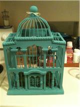 DIY projects by a non-crafty Bride :  wedding diy crafty centerpeice Bird Cage