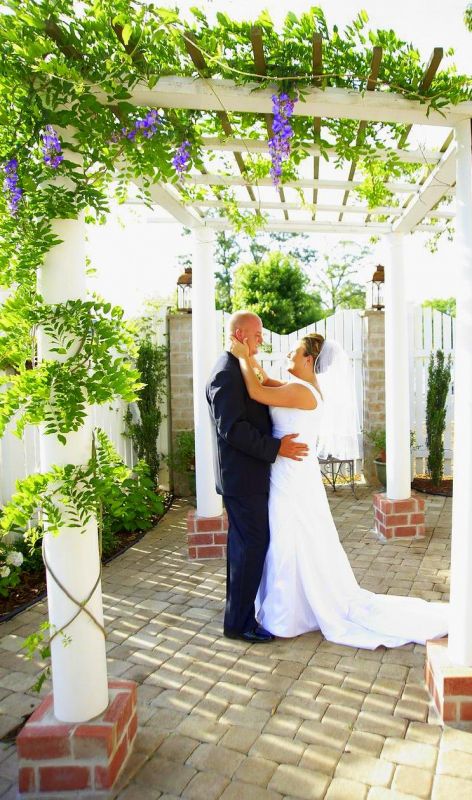 Help Bees! EMERGENCY! :  wedding disaster pergola gazebo emergency With Wistera