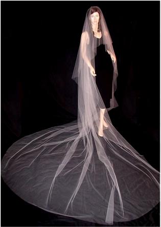 Dress and accessories (Winter/Spring Fever!) :  wedding faux fur 1 stole wrap strapless winter spring march full figured 1 plus accessories Obj17761geo25742pg16p1500