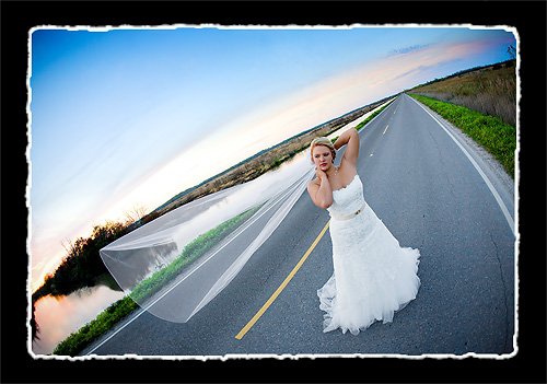 FOR SALE: Maggie Sottero Mirabella size 14 worn once for wedding 4/17/10 :  wedding wedding dress for sale mermaid trumpet lace tulle beading vintage romantic maggie sotterro 25202 533570793371 68000587 31345240 3562347 N