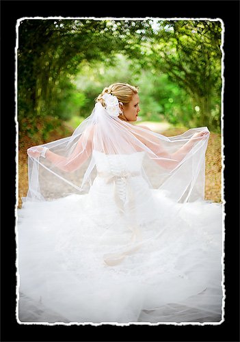 FOR SALE: Maggie Sottero Mirabella size 14 worn once for wedding 4/17/10 :  wedding wedding dress for sale mermaid trumpet lace tulle beading vintage romantic maggie sotterro Dress From Back At Avery Island La