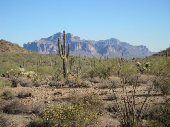 Can anyone tell me about Arizona? :  wedding Usery Pass Hike