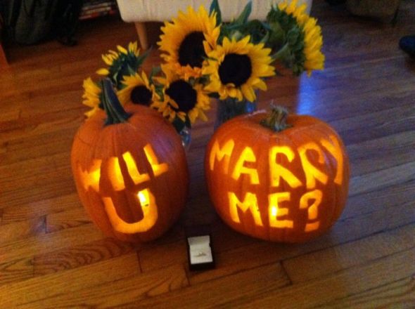 BEES! IT HAPPENED! :  wedding Will You Marry Me