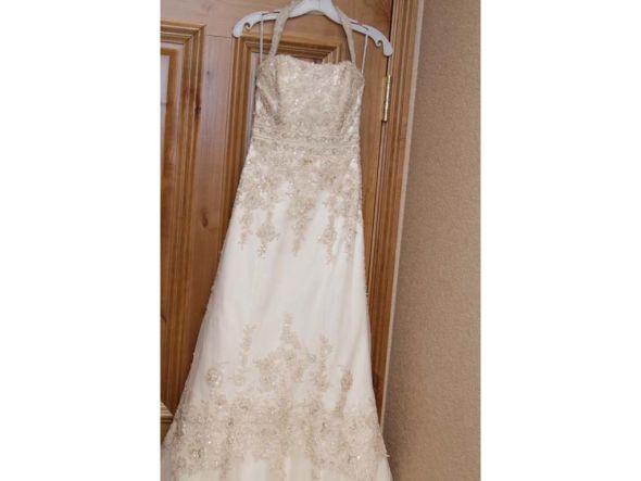 I DID IT!!!  I ordered my dress! :  wedding Gold