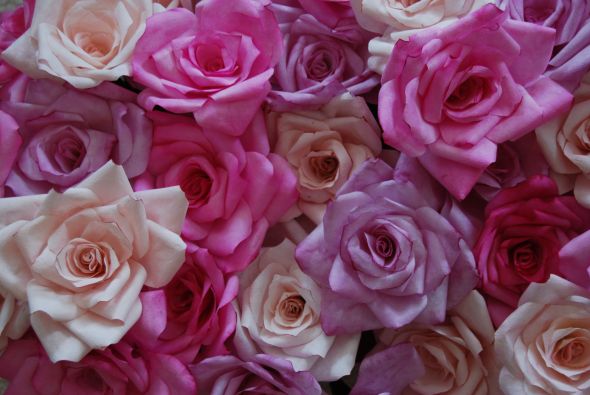 DIY Friday :  wedding diy features DSC 0676 Coffee Filter Roses :  wedding roses pink purple flowers diy reception DSC 0676 