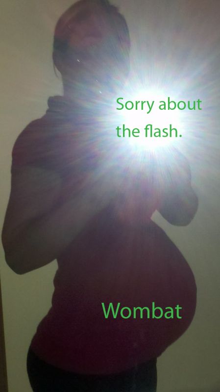 Fun Poll: Is Wombat a Boy or Girl? :  wedding gender guess baby fun 38weeks1