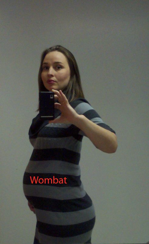 Bump pic and gender :  wedding Week 28 Wombat