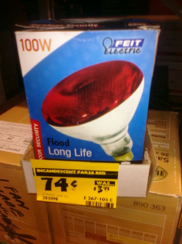 Uplighting on the SUPER CHEAP!! :  wedding CIMG0582