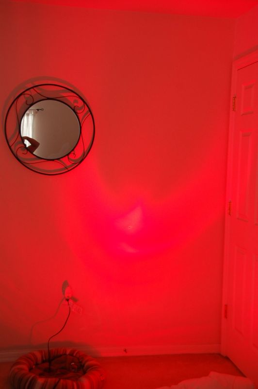 Uplighting on the SUPER CHEAP!! :  wedding Pic 052