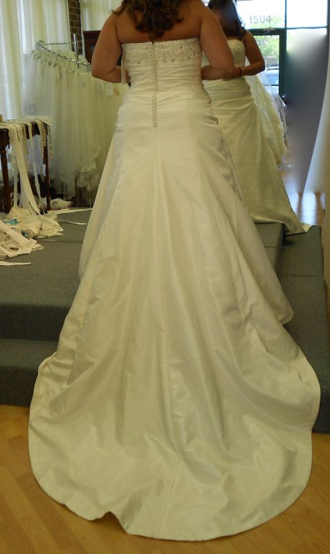 Need more dress help (lots of pics) :  wedding dress DSCN0081