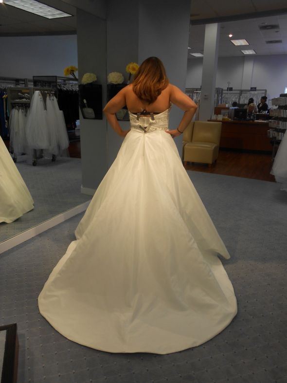 Need more dress help (lots of pics) :  wedding dress DSCN0206
