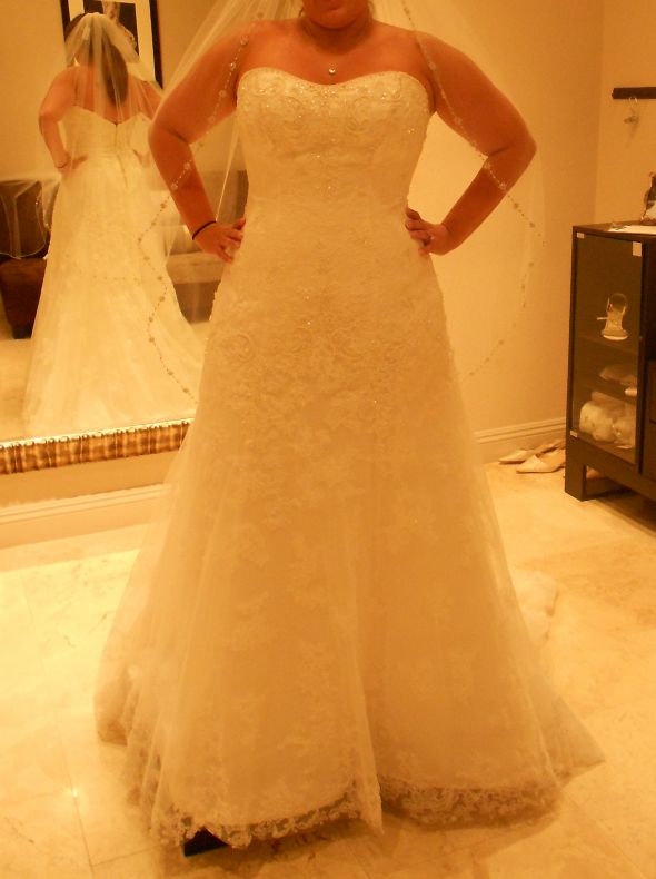 Need more dress help (lots of pics) :  wedding dress DSCN0219 2