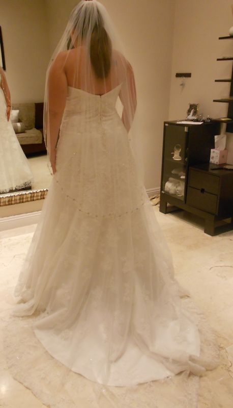 Need more dress help (lots of pics) :  wedding dress DSCN0220