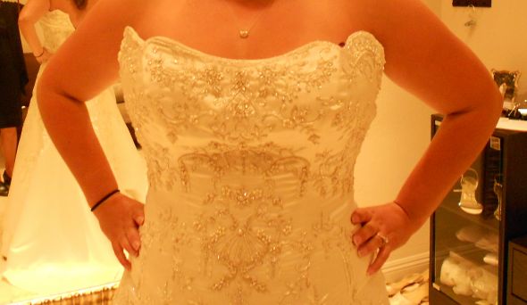 Need more dress help (lots of pics) :  wedding dress DSCN0225