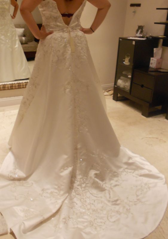 Need more dress help (lots of pics) :  wedding dress DSCN0227 2