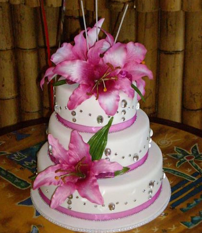 I like cake!!!!.... :  wedding Cake1