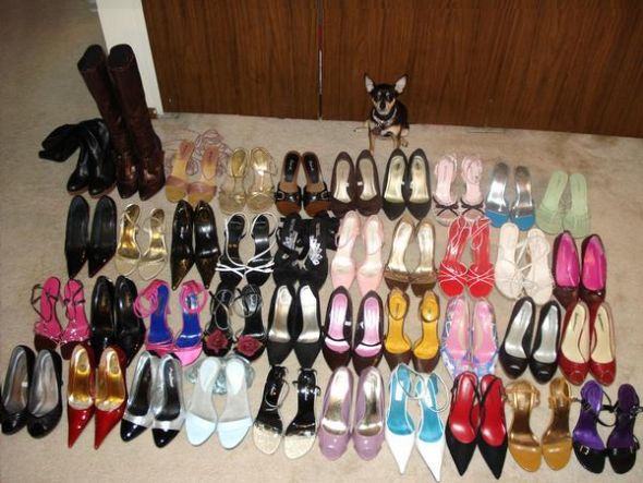 Count Your Shoes! : wedding Shoes