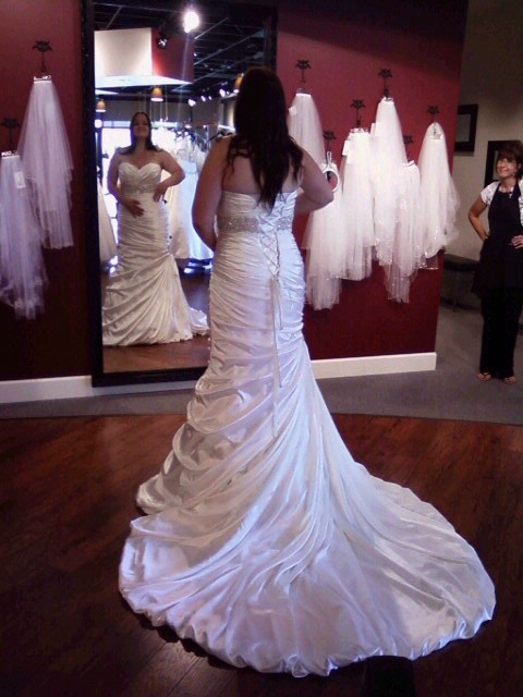 May 2011:  Show Your Dresses :  wedding may 2011 dress 367008