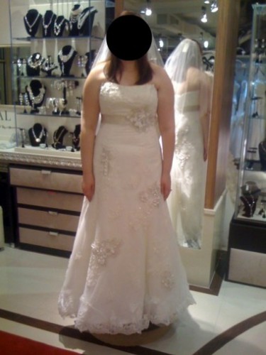 Can I see you in your dress? :  wedding dress Dress1